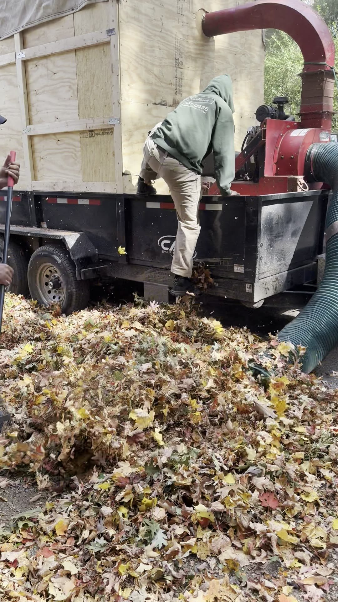 Leaf vacuum at work, fall cleanup