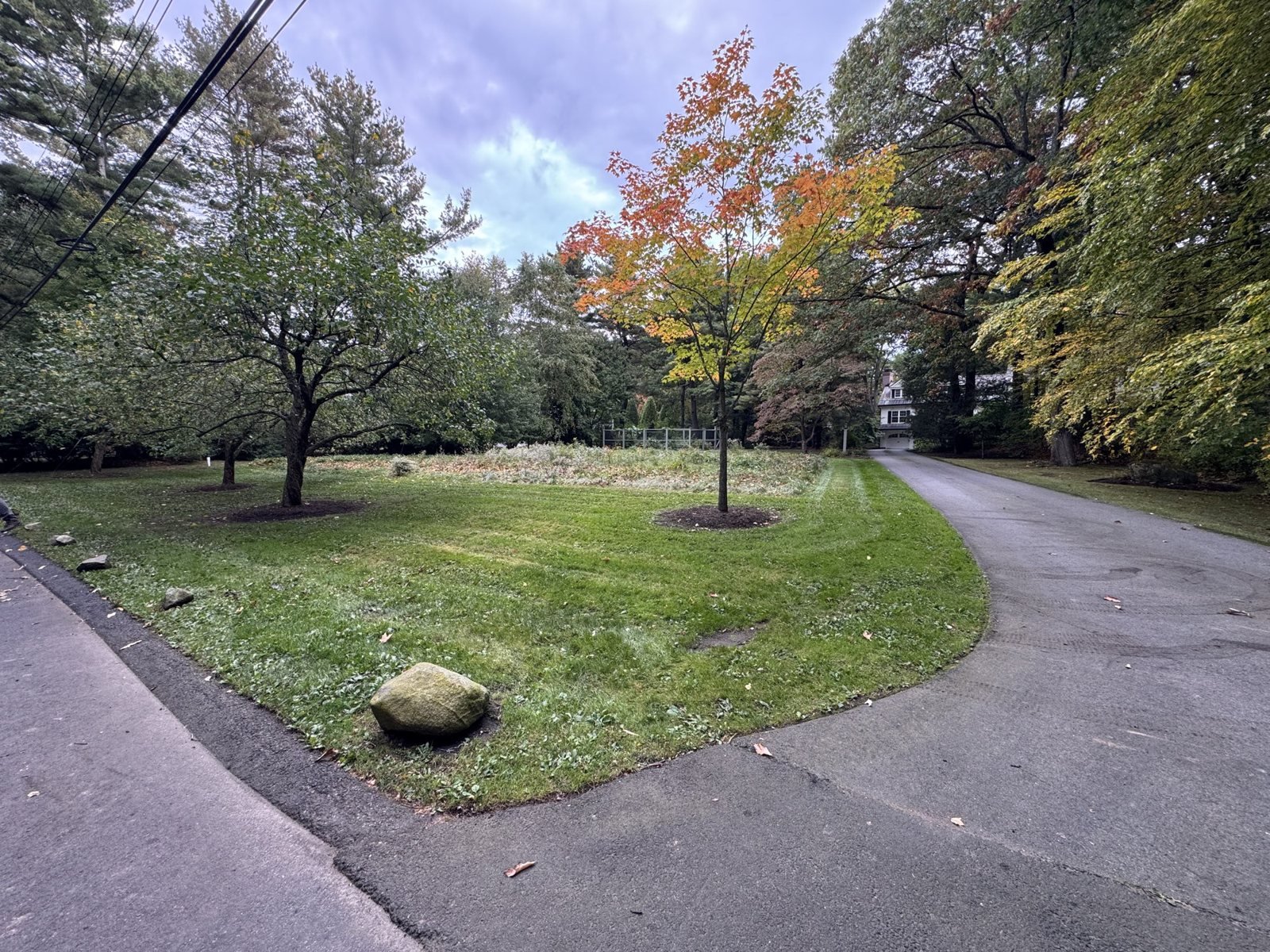 Lawn and tree beds, ready for fall
