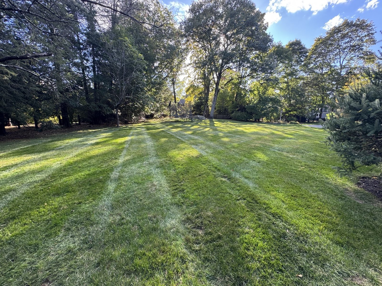 Clean stripes in the morning sun