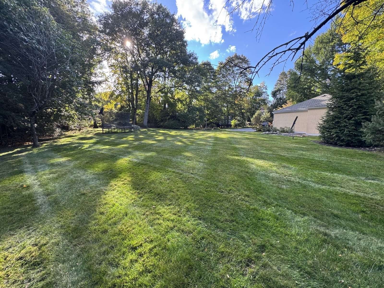 Wide lawn, freshly cut