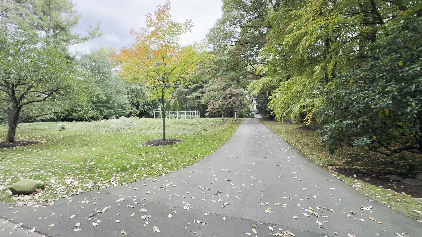Clean driveway, ready for the season